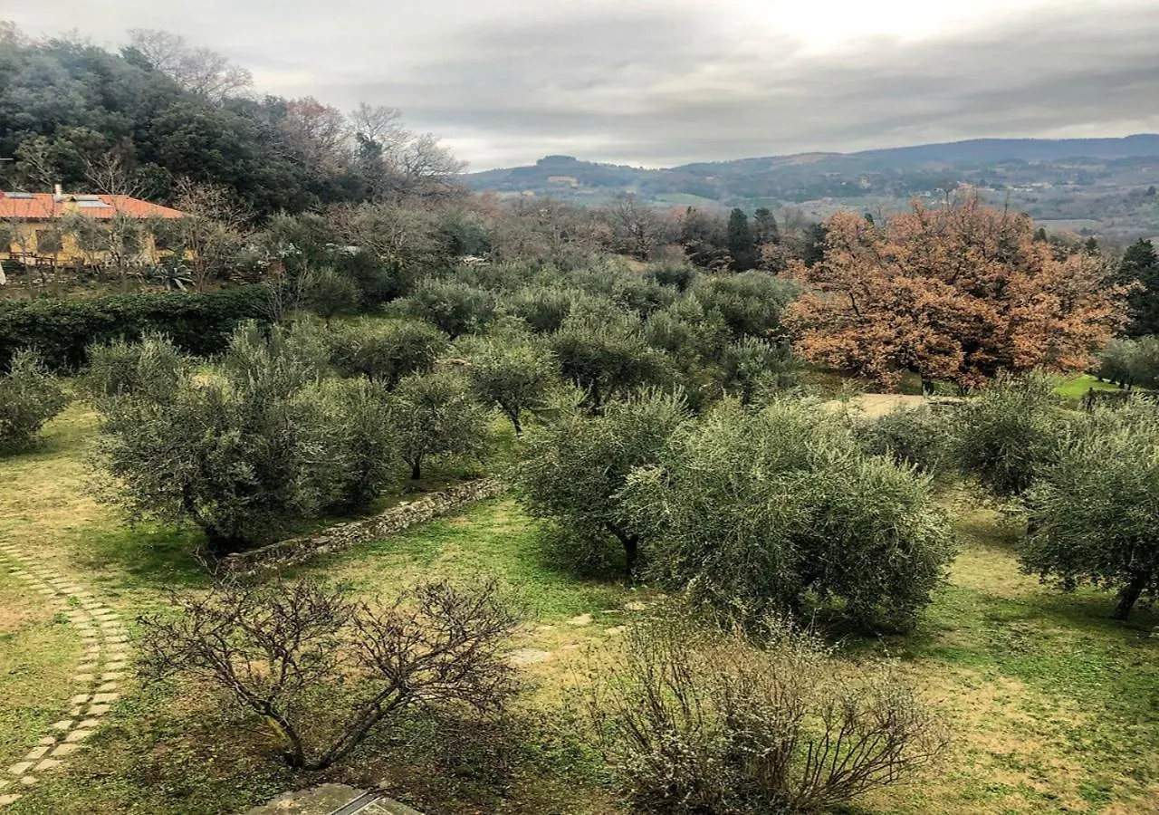 Independent Loft On Florence'S Hills Φιέζολε Bed and Breakfast